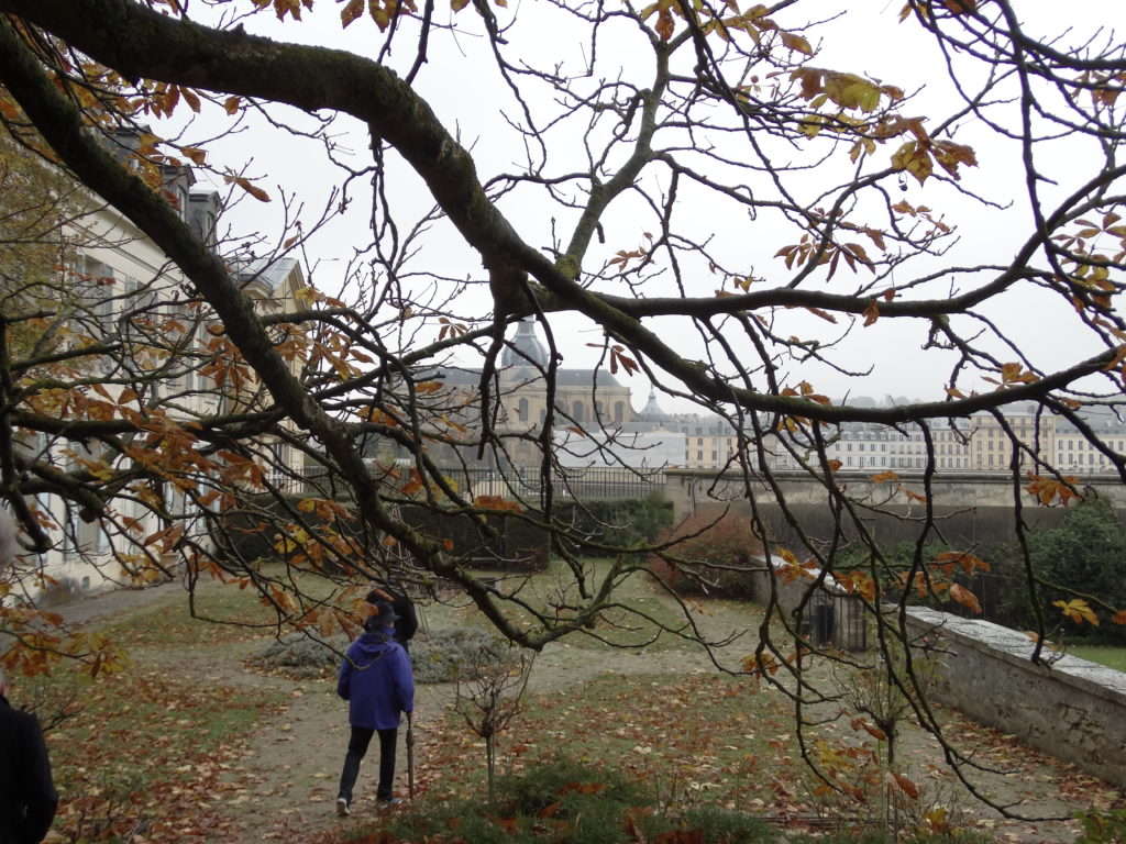 Versailles Vegetebles garden